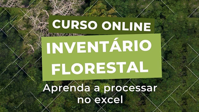 Processar Inventário Florestal Utilizando o Excel