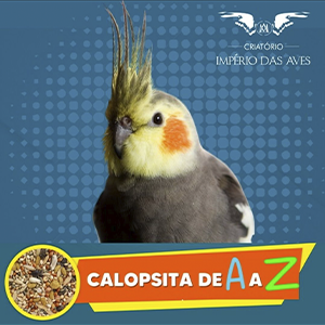 Curso Calopsita de A a Z