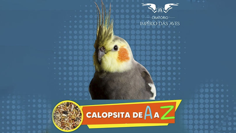 Curso Calopsita de A a Z