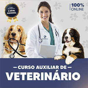 ClickVET - Curso de Auxiliar Veterinária