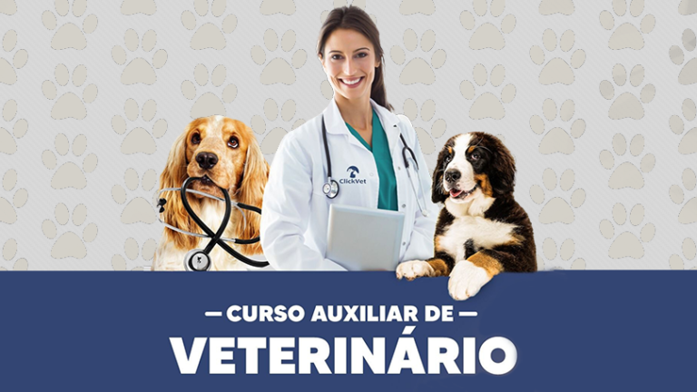 Clickvet Curso De Auxiliar Veterinária Digital Na Real