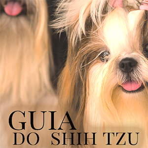 Curso Guia do Shih Tzu