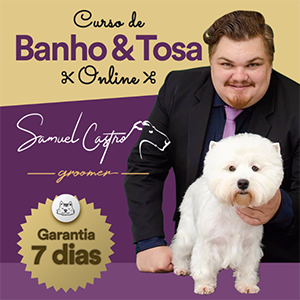 Curso Banho e Tosa Online