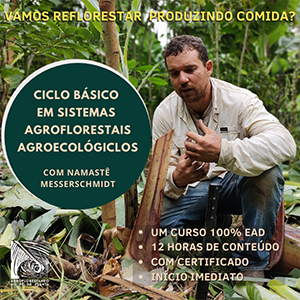 Ciclo Básico - Introdução à Agrofloresta