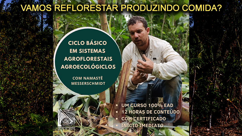 Ciclo Básico - Introdução à Agrofloresta